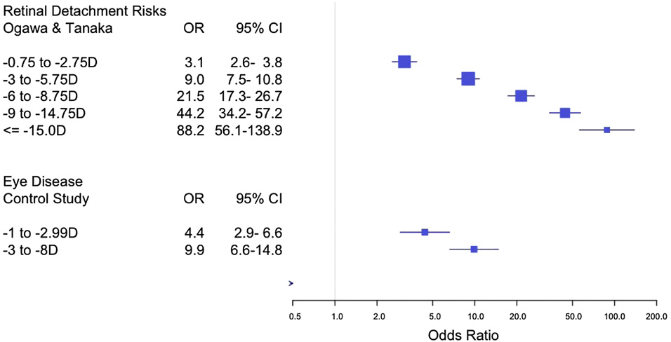 Risk of Retinal Detachment.jpg